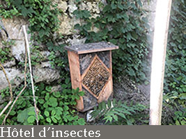 Hotel d insectes